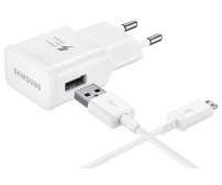 Įkroviklis Samsung micro USB 2.0A greito įkrovimo Baltas